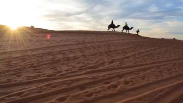 Day 7 : Merzouga