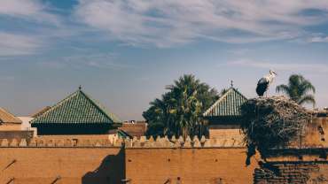 Day 1 : Arrival – Marrakech